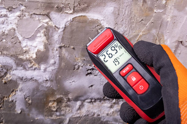 Best Residential Mold Remediation in Palmetto, FL